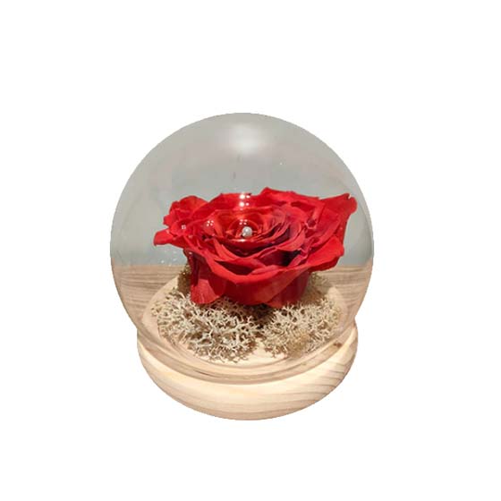 Preserved Flower Dome (Big Red Rose)