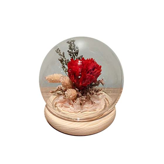 Preserved Flower Dome (Red Rose)