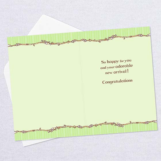 Congratulations - Winnie the pooh